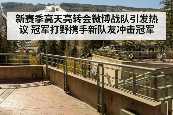 新赛季高天亮转会微博战队引发热议 冠军打野携手新队友冲击冠军
