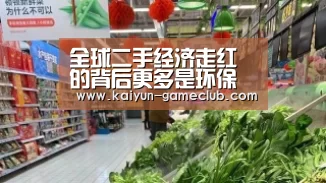 全球二手经济走红的背后更多是环保理念的提升‘开云娱乐平台’(图2) 开云APP下载