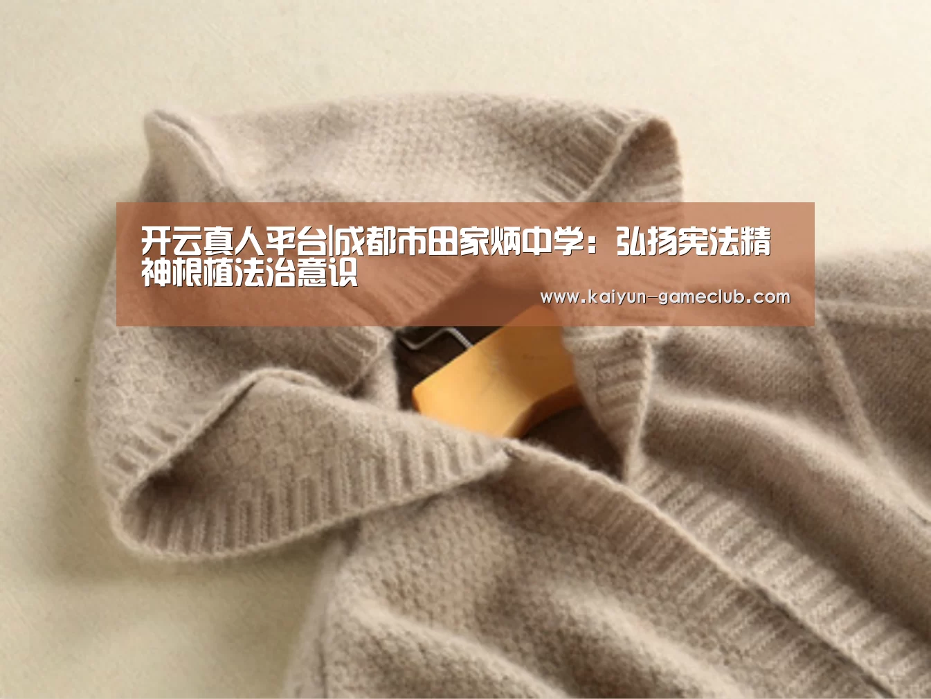开云真人平台|成都市田家炳中学:弘扬宪法精神根植法治意识(图2) 开云APP下载
