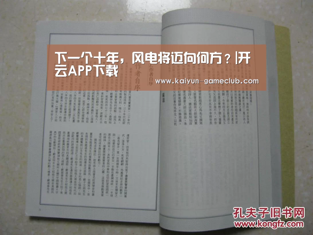 下一个十年,风电将迈向何方?|开云APP下载(图3) 开云娱乐平台